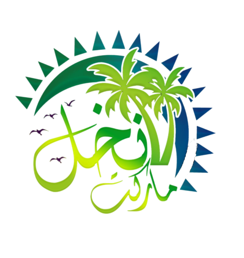 تنقلات خارجی نخل مارکت 